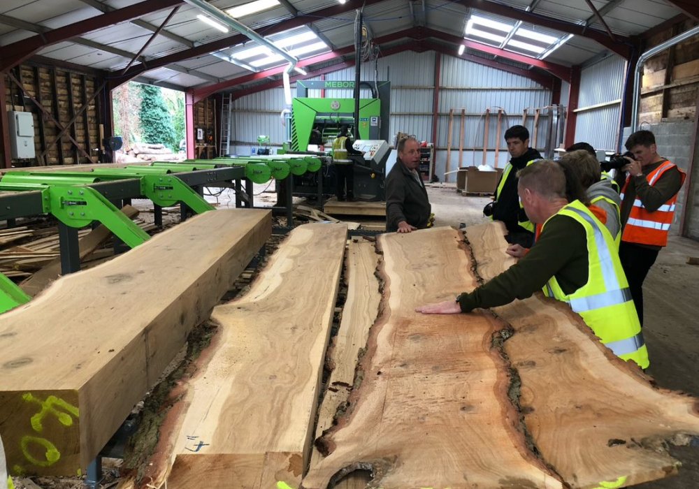 Timber TED 1 students visiting a sawmill