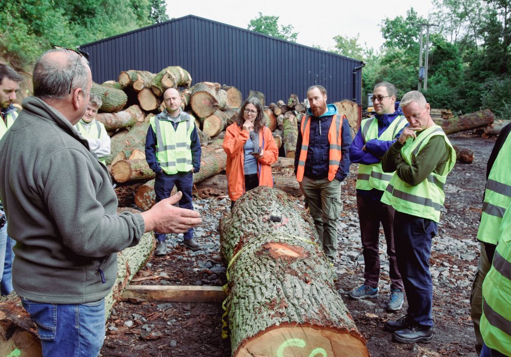 Timber TED 1 students visiting a sawmill