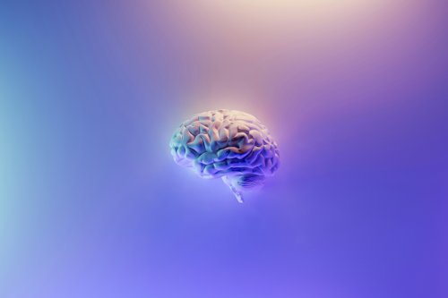 Brain illustration