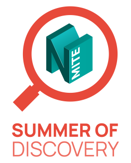 Summer Of Discovery Logo