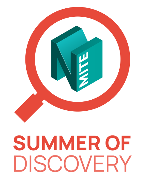 Summer Of Discovery Logo